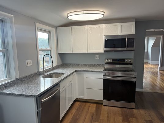 Interior, Kitchen, Stainless Steel Appliances, Wood Texture Flooring