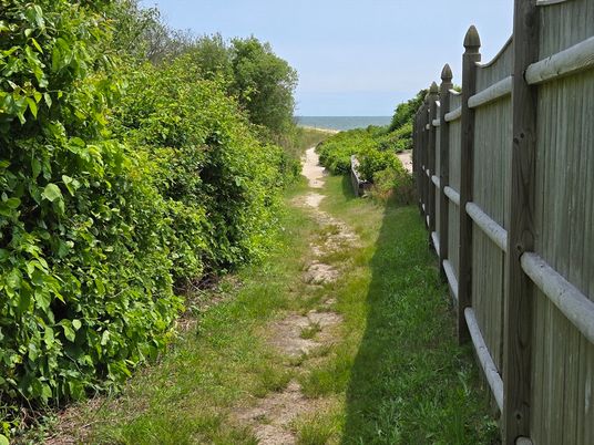 Backyard, Exterior, Water