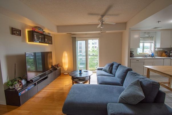 Interior, Kitchen, Living room, Wood Texture Flooring