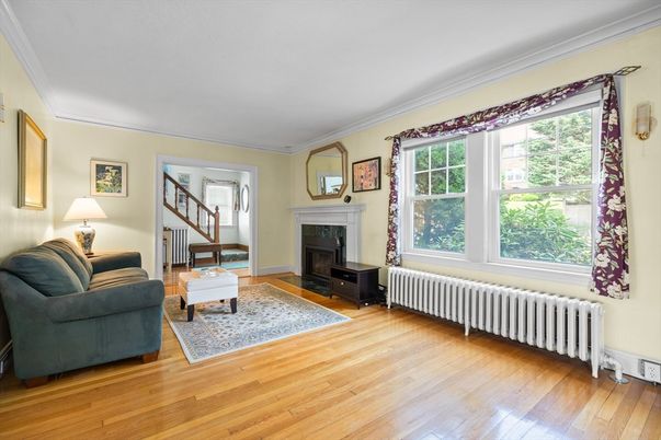 Fireplace, Interior, Wood Texture Flooring