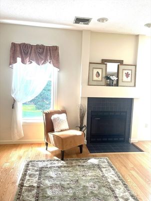 Fireplace, Interior, Wood Texture Flooring