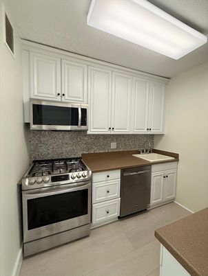 Interior, Kitchen, Stainless Steel Appliances, Wood Texture Flooring