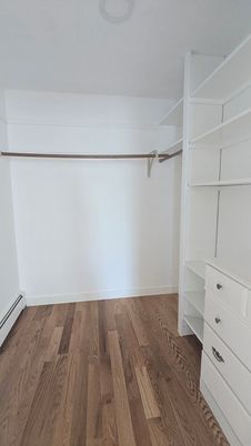 Interior, Walk-in Closets, Wood Texture Flooring