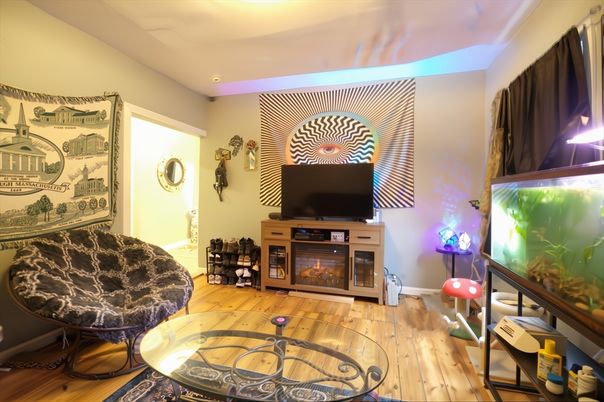 Fireplace, Interior, Wood Texture Flooring