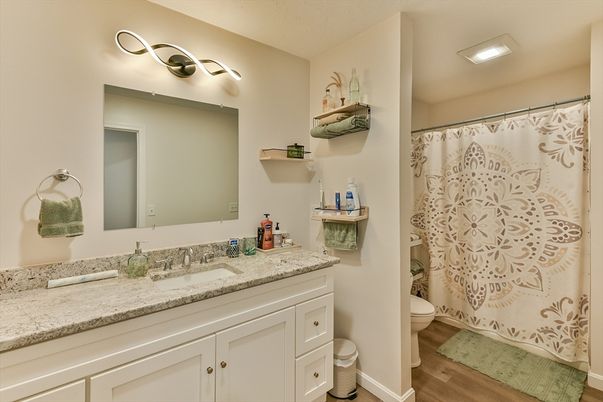 Bathroom, Interior, Wood Texture Flooring