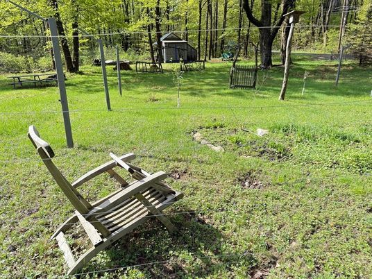Backyard, Exterior, Playground