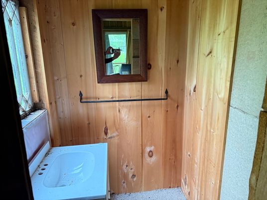 Bathroom, Interior, Wooden Walls