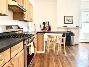 Interior, Kitchen, Stainless Steel Appliances, Wood Texture Flooring