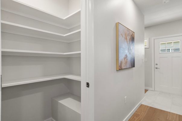 Interior, Walk-in Closets, Wood Texture Flooring