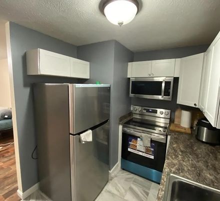 Interior, Kitchen, Stainless Steel Appliances, Wood Texture Flooring