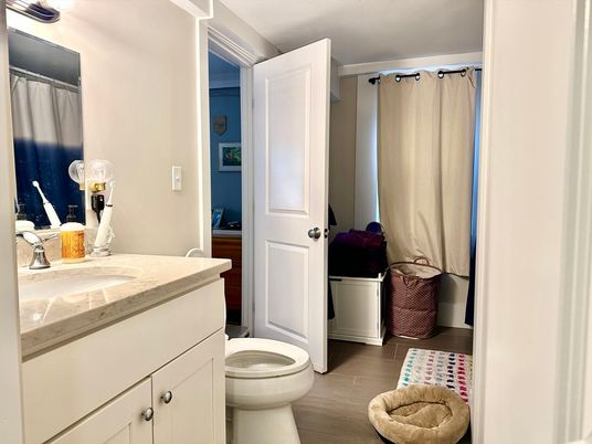Bathroom, Interior, Wood Texture Flooring