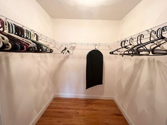 Interior, Walk-in Closets, Wood Texture Flooring