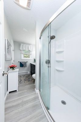 Bathroom, Glass Shower, Interior, Wood Texture Flooring