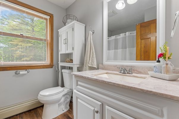 Bathroom, Interior, Wood Texture Flooring