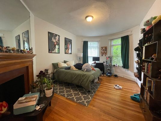 Bedroom, Fireplace, Interior, Wood Texture Flooring