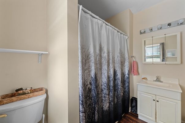 Bathroom, Interior, Wood Texture Flooring