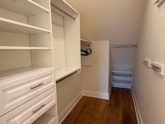Interior, Walk-in Closets, Wood Texture Flooring