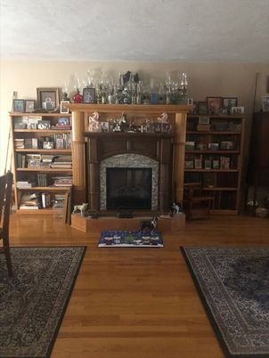 Fireplace, Interior, Wood Texture Flooring