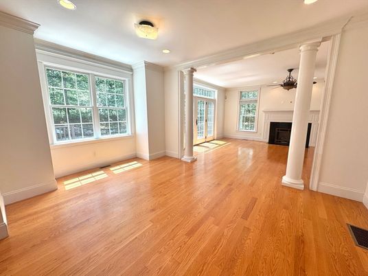 Empty room, Fireplace, Interior, Recessed Lighting, Wood Texture Flooring