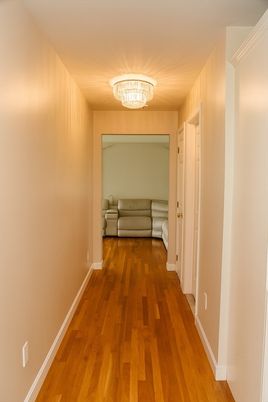 Chandelier, Interior, Wood Texture Flooring