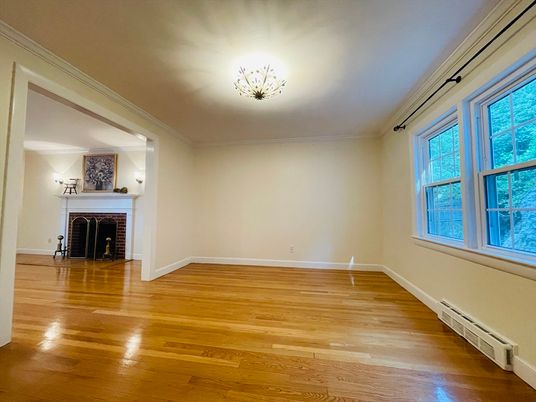 Empty room, Fireplace, Interior, Wood Texture Flooring