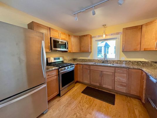 Interior, Kitchen, Stainless Steel Appliances, Wood Texture Flooring
