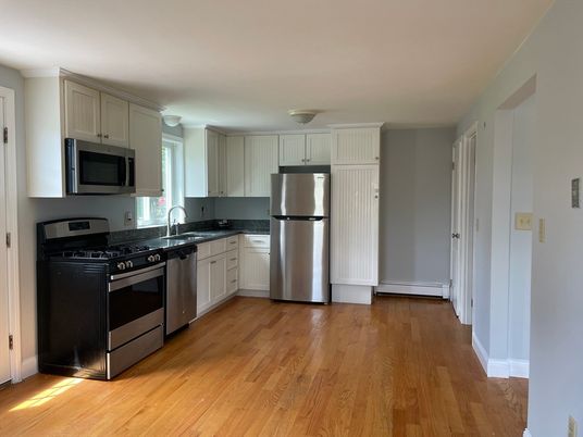 Interior, Kitchen, Stainless Steel Appliances, Wood Texture Flooring