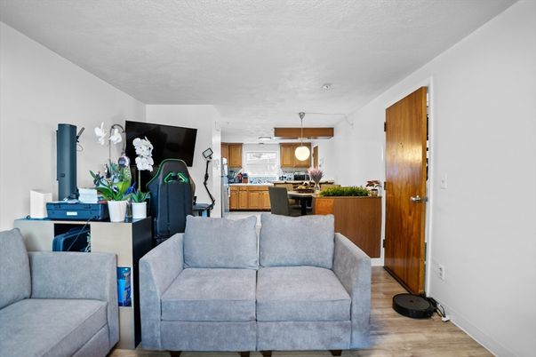 Interior, Kitchen, Living room, Pendant Lights, Recessed Lighting, Wood Texture Flooring
