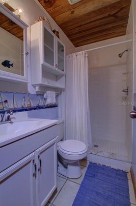 Bathroom, Interior, Wooden Ceilings