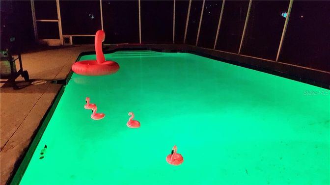 Interior, Pool