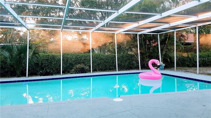 Glass Ceilings, Interior, Pool, Sun Room
