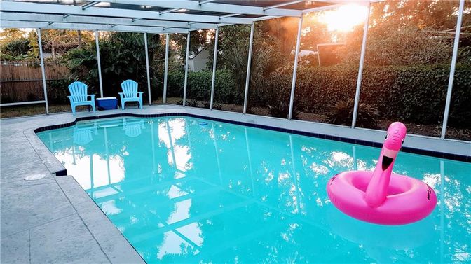 Glass Ceilings, Interior, Pool, Sun Room