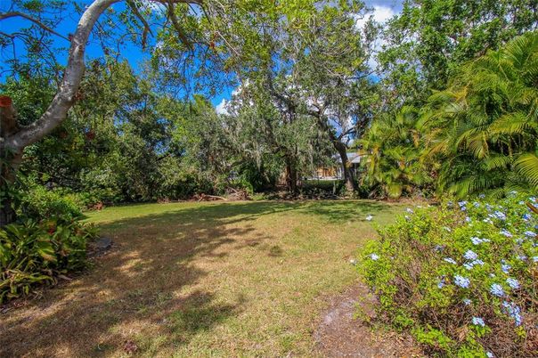 Exterior, Backyard