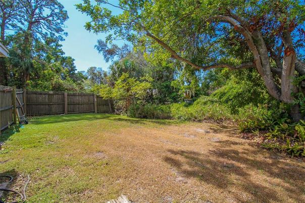 Exterior, Backyard