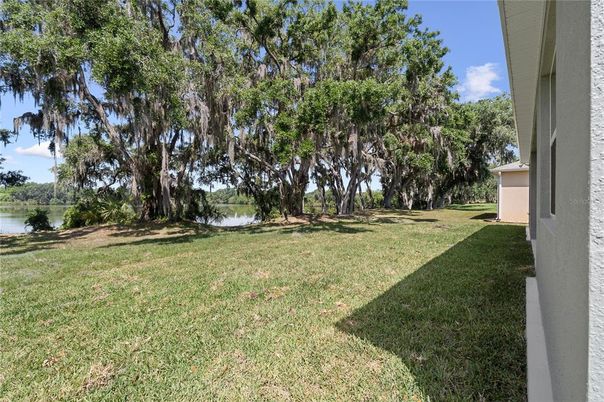 Backyard, Exterior, Water