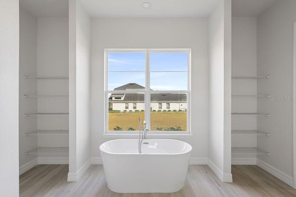 Bathroom, Free Standing Baths, Interior, Wood Texture Flooring