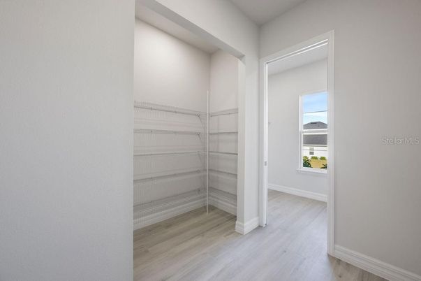 Interior, Walk-in Closets, Wood Texture Flooring