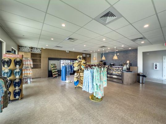 Interior, Pendant Lights, Recessed Lighting