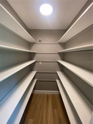 Interior, Recessed Lighting, Walk-in Closets, Wood Texture Flooring
