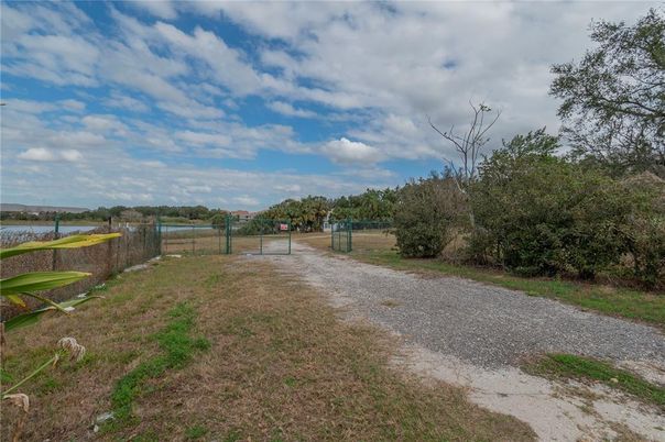Backyard, Exterior, Water