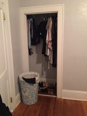 Interior, Walk-in Closets, Wood Texture Flooring