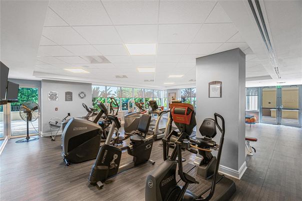 Fitness Equipment, Gym, Interior, Recessed Lighting, Wood Texture Flooring