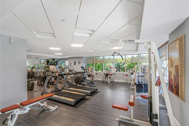 Fitness Equipment, Gym, Interior, Recessed Lighting, Wood Texture Flooring