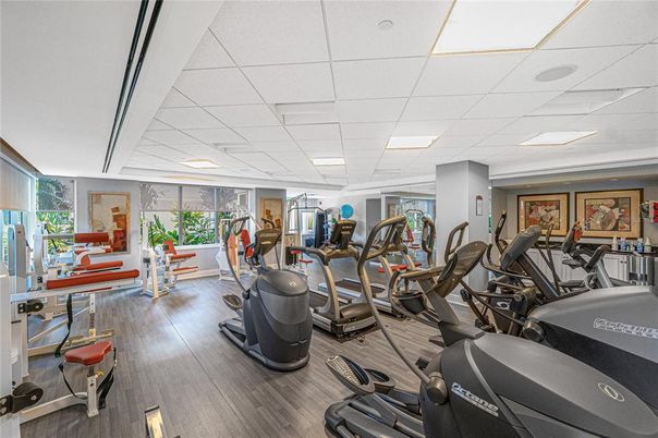 Fitness Equipment, Gym, Interior, Recessed Lighting, Wood Texture Flooring