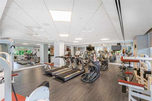 Fitness Equipment, Gym, Interior, Recessed Lighting, Wood Texture Flooring