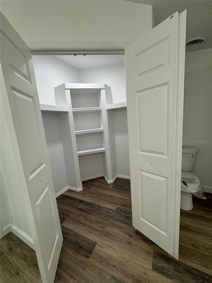 Interior, Walk-in Closets, Wood Texture Flooring