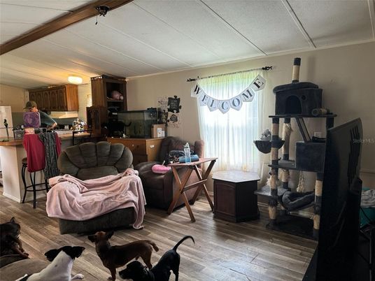 Interior, Kitchen, Living room, Wood Texture Flooring