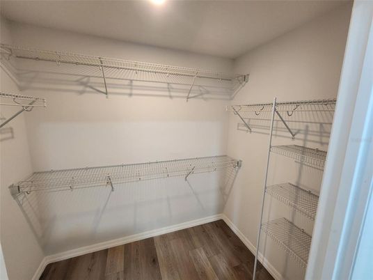 Interior, Walk-in Closets, Wood Texture Flooring