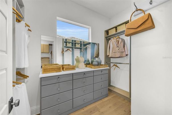 Interior, Walk-in Closets, Wood Texture Flooring