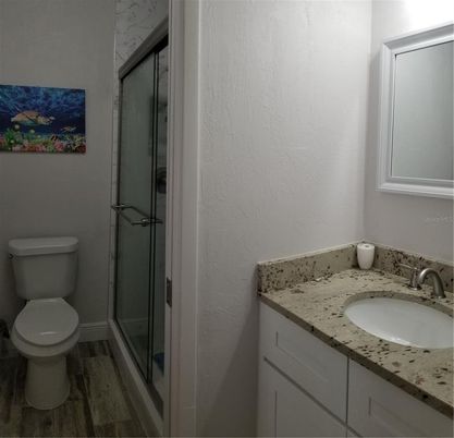 Bathroom, Glass Shower, Interior, Wood Texture Flooring